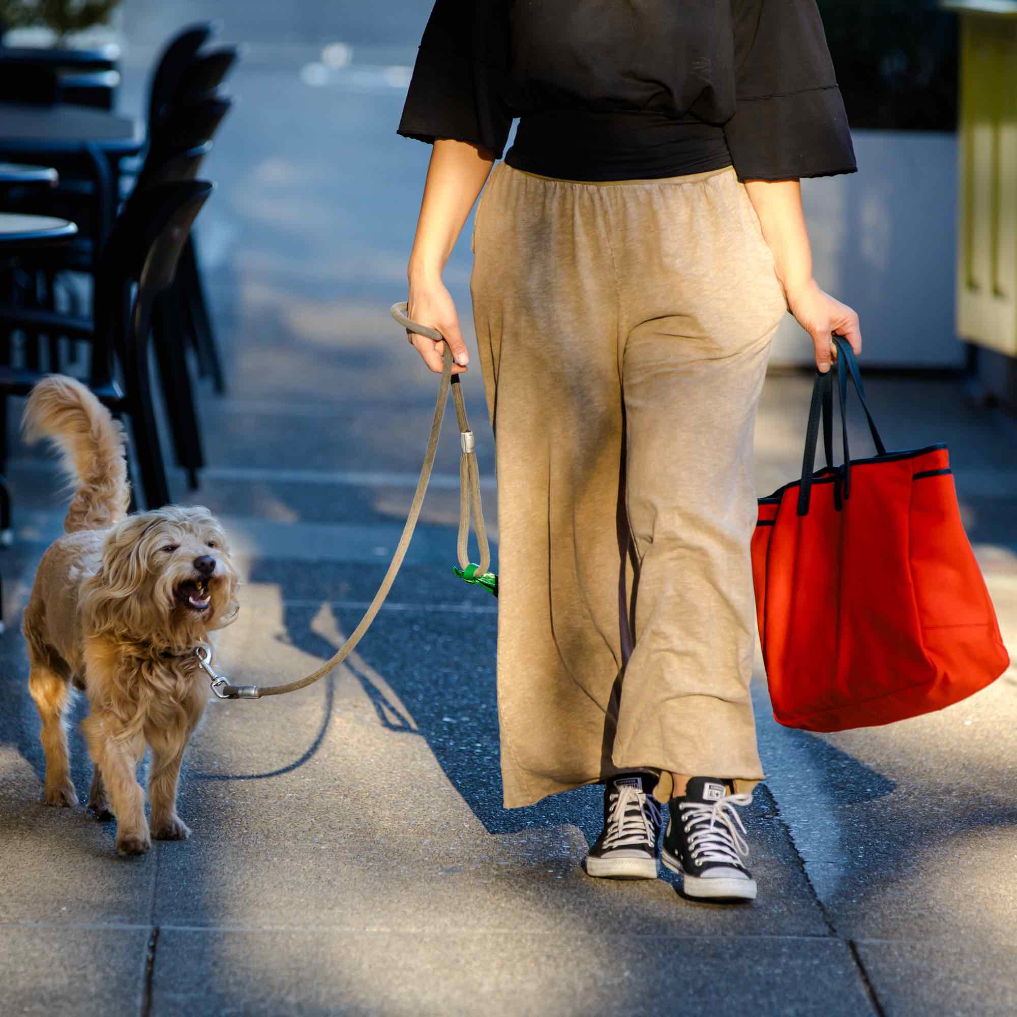 Day and night tote in orange navy by sonoma county leather front walking dog lifestyle